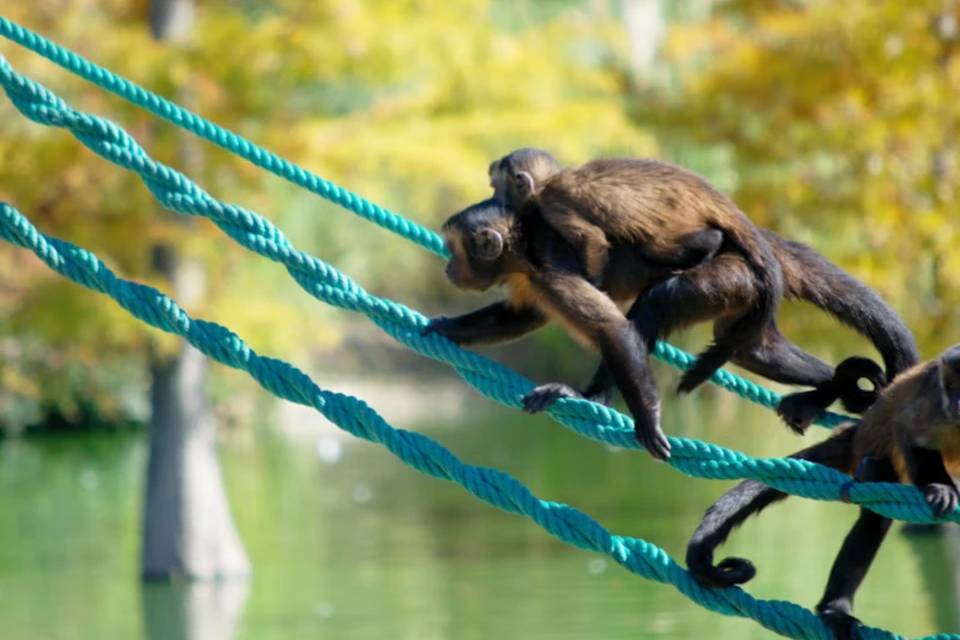 Faunia Nature Park: Skip The Line Ticket