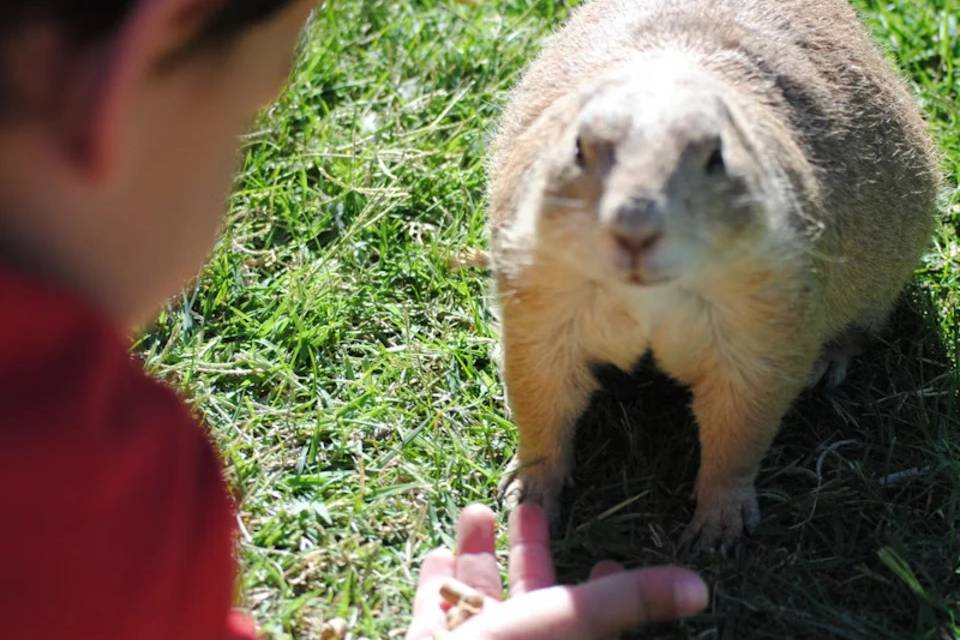 Faunia Nature Park: Skip The Line Ticket