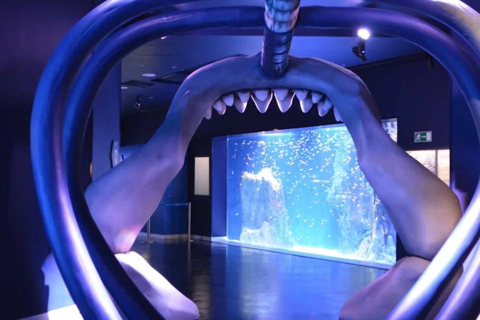 Atlantis Aquarium Madrid: Skip The Line Ticket