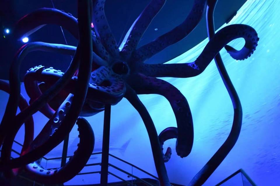 Atlantis Aquarium Madrid: Skip The Line Ticket