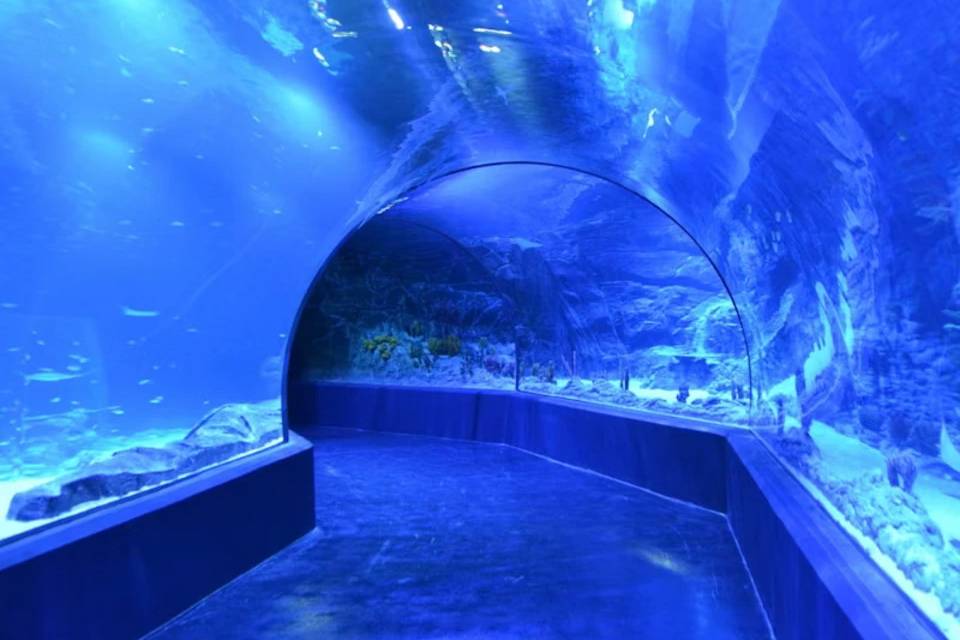 Atlantis Aquarium Madrid: Skip The Line Ticket