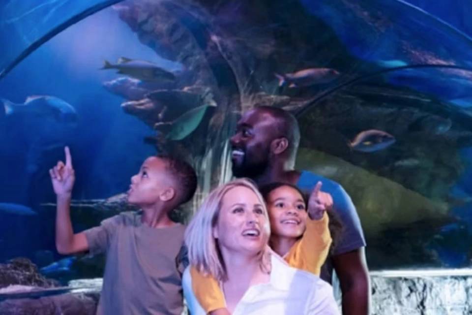 SEA LIFE Orlando Entry Ticket