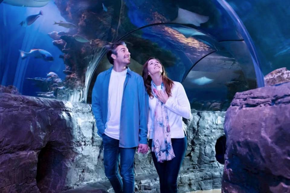 SEA LIFE Orlando Entry Ticket
