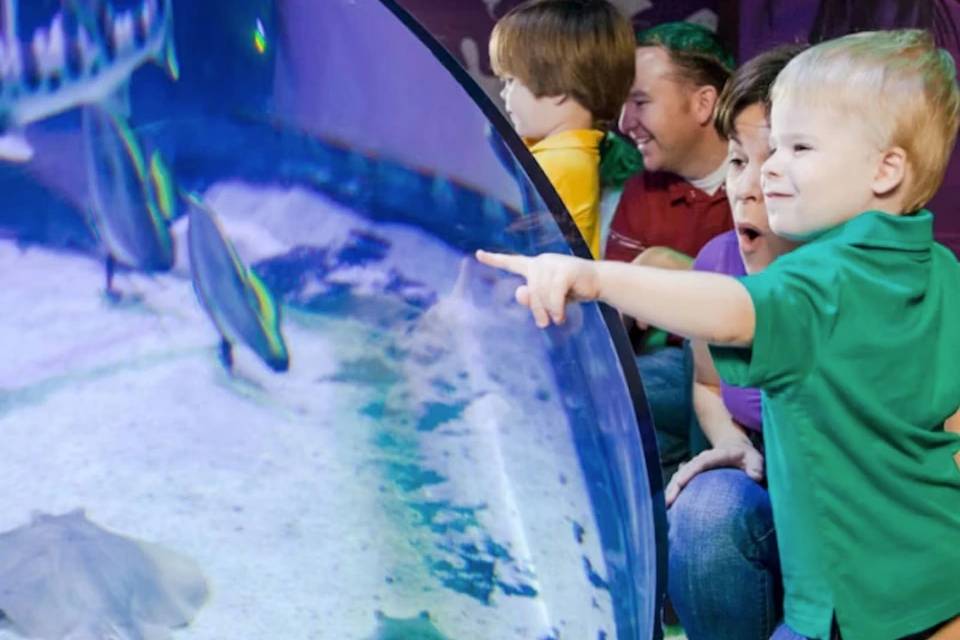 SEA LIFE Orlando Entry Ticket