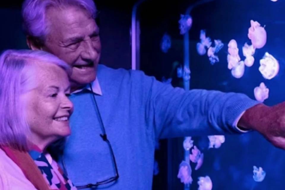 SEA LIFE Orlando Entry Ticket