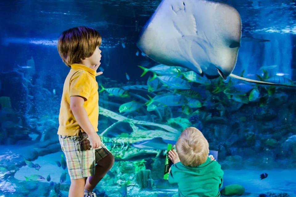 SEA LIFE San Antonio Entry Ticket