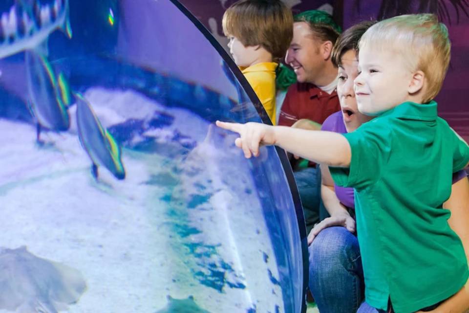 SEA LIFE San Antonio : Entry Ticket