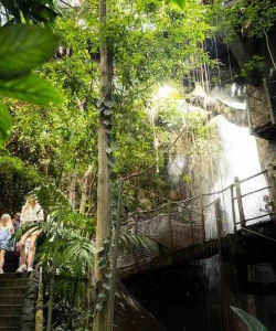 Go City: Gothenburg All-Inclusive Pass