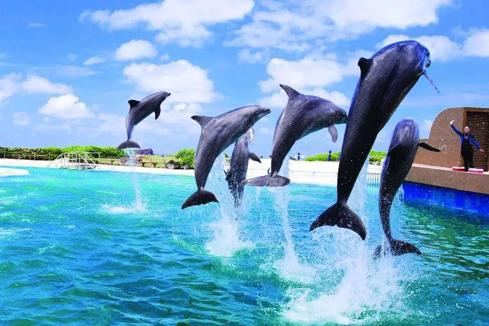 GoCity Oahu Pass: All Inclusive