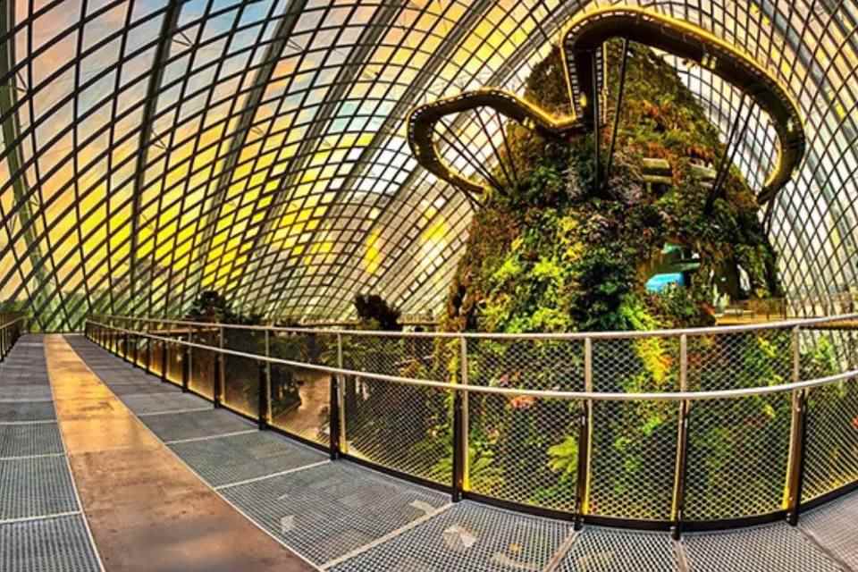 City Tours: FunVee Panoramic Bus Tour with Flower Dome, Cloud Forest & Jurassic World Experience
