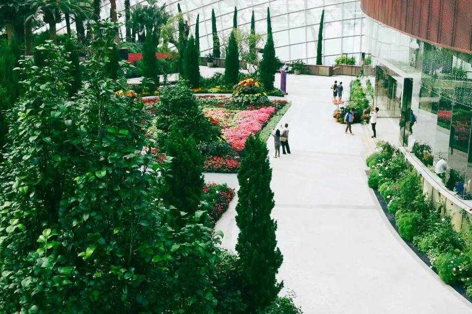 City Tours: FunVee Panoramic Bus Tour with Flower Dome, Cloud Forest & Jurassic World Experience