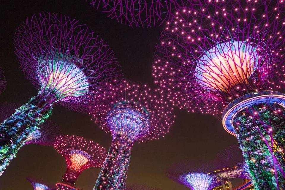 City Tours: FunVee Panoramic Bus Tour with Flower Dome, Cloud Forest & Jurassic World Experience
