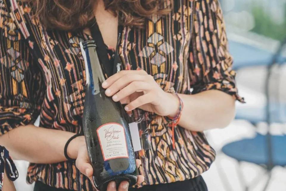 Half Day Wine Tour from Venice