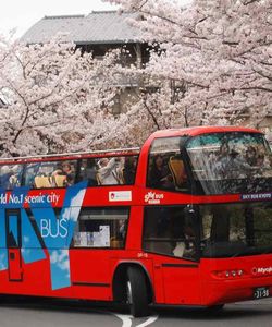 Sky Hop on Hop off Bus Tour Kyoto