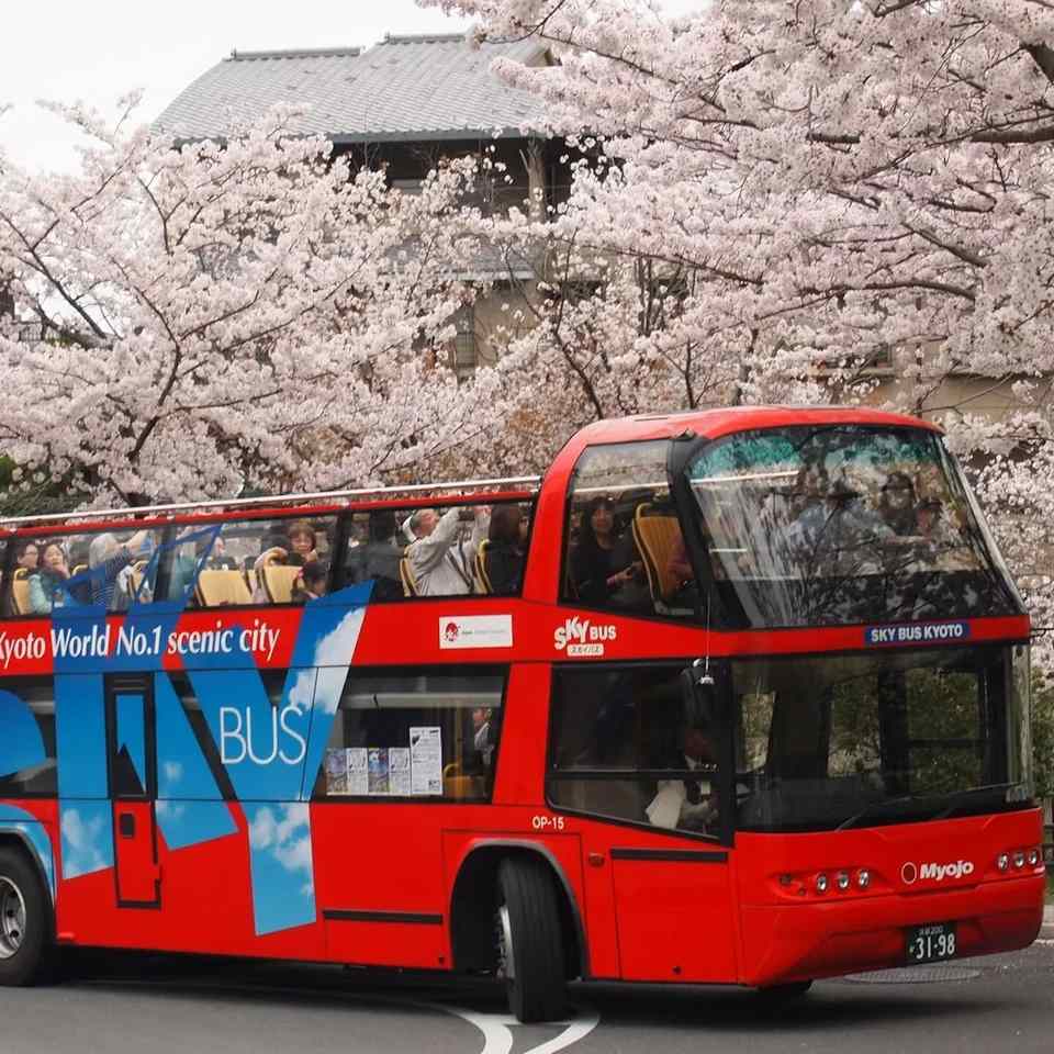 About Japan Sightseeing Tours