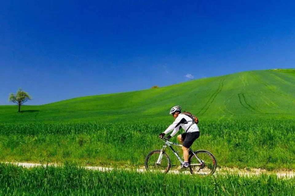 Chianti Bike Tour from Florence