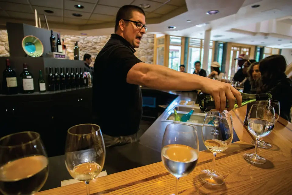 San Francisco Half Day Wine Country Tour
