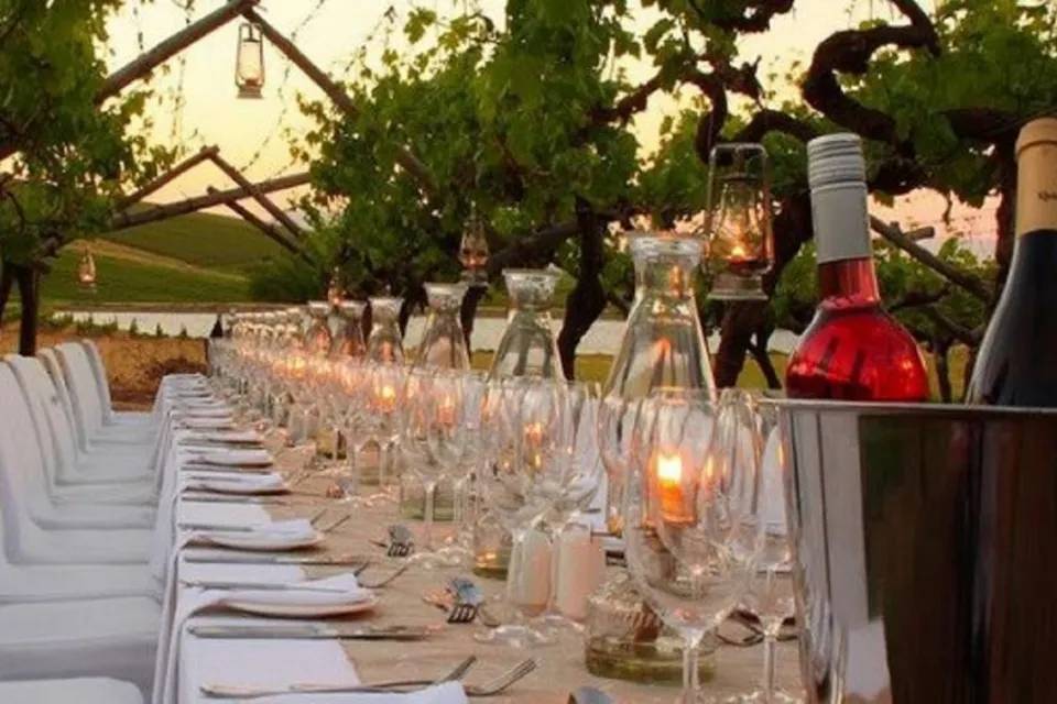 Dinner in Chianti Vineyards Experience Tour from Florence