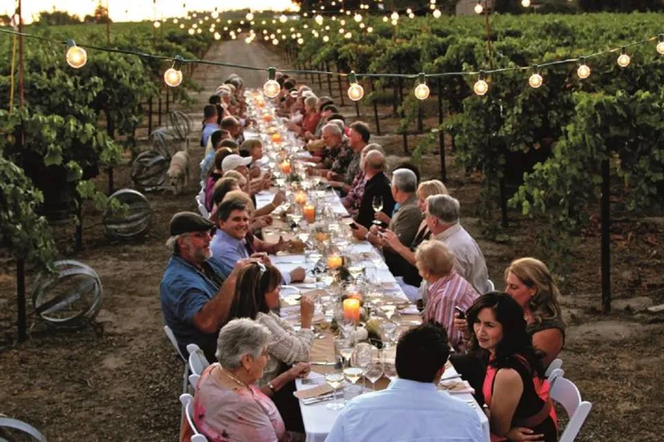 Dinner in Chianti Vineyards Experience Tour