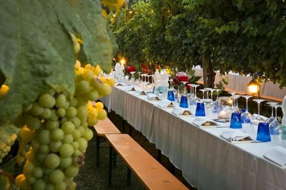Dinner in Chianti Vineyards Experience Tour