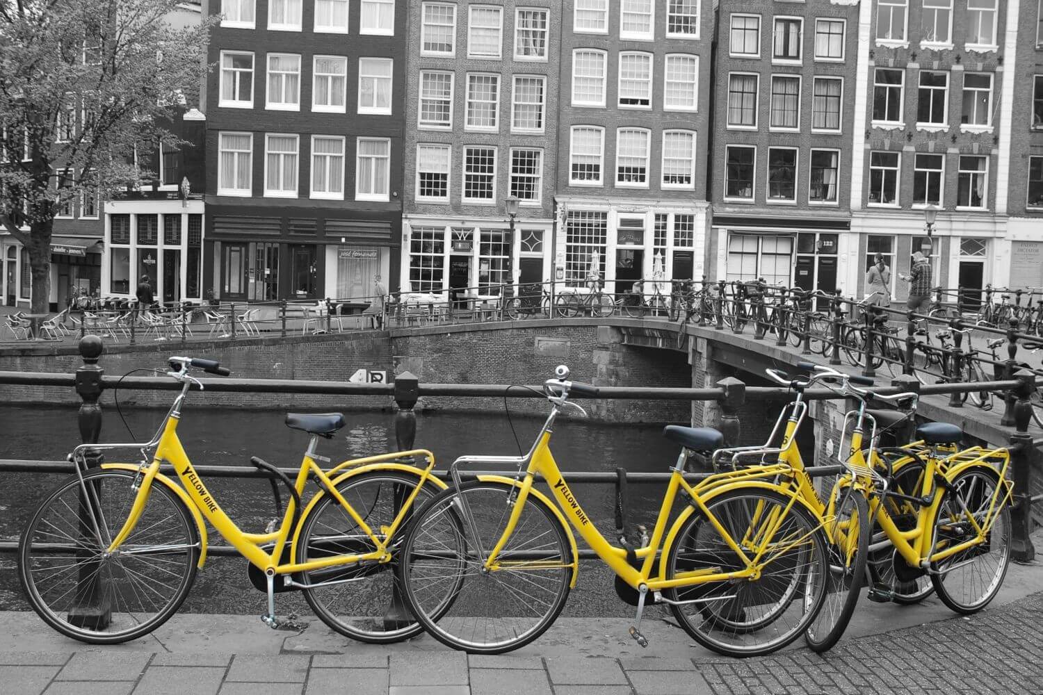 Amsterdam Bike Tour
