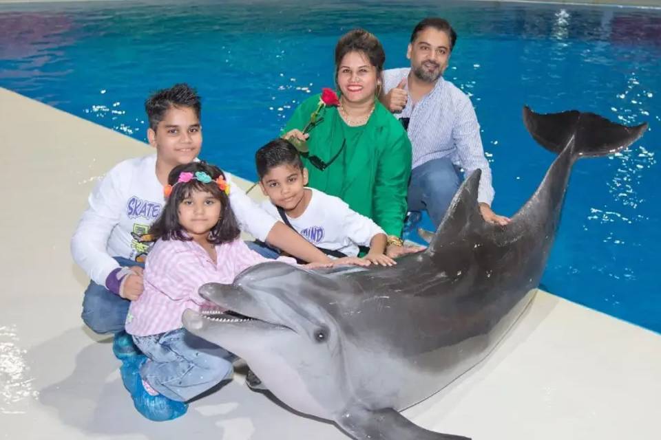 Dubai Dolphinarium Tickets