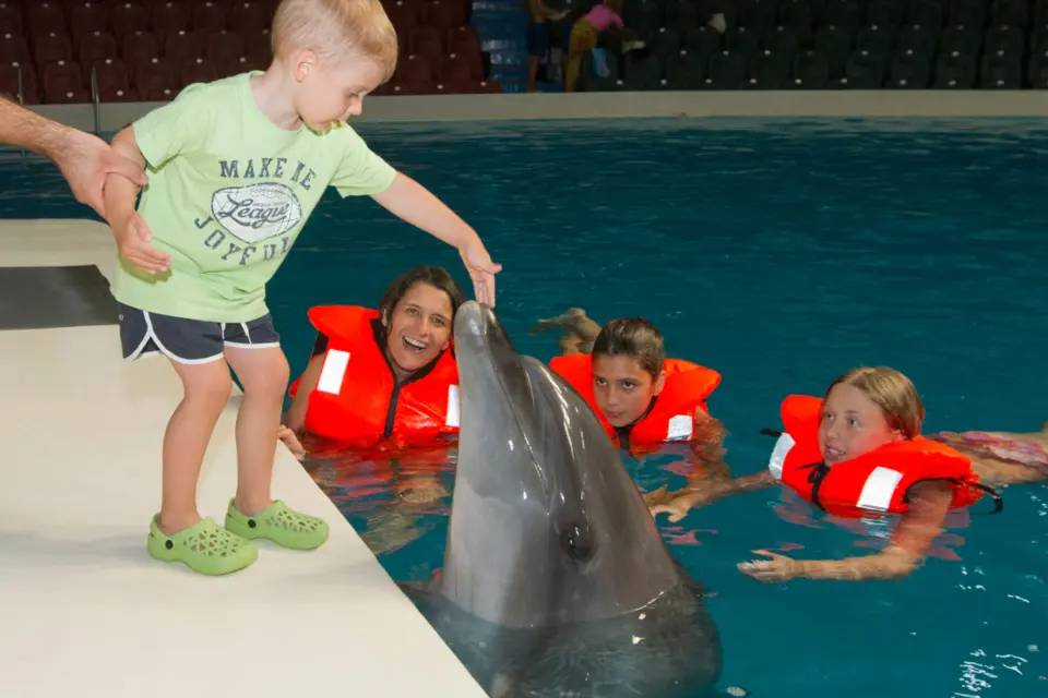 Dubai Dolphinarium Tickets