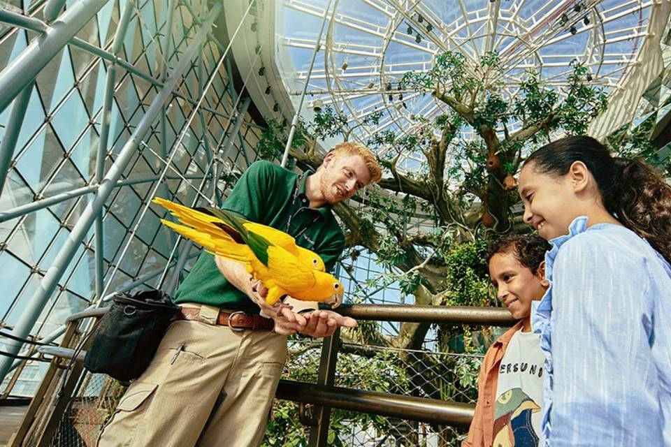 The Green Planet Dubai Tickets