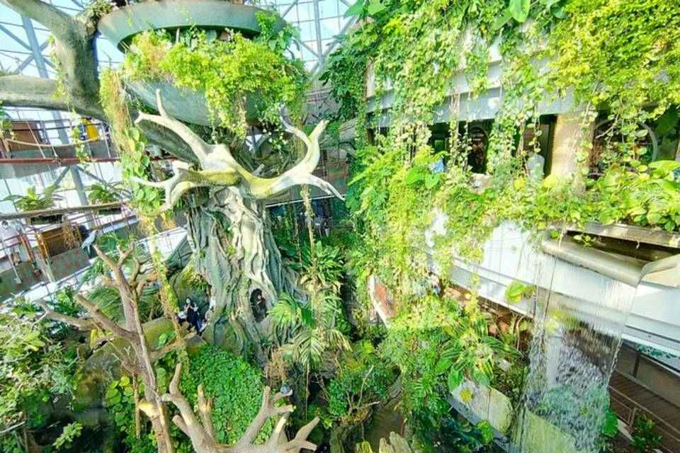 The Green Planet Dubai Tickets