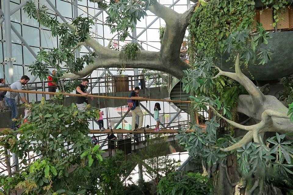 The Green Planet Dubai Tickets