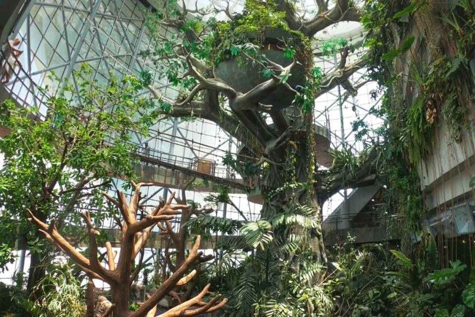 The Green Planet Dubai Tickets