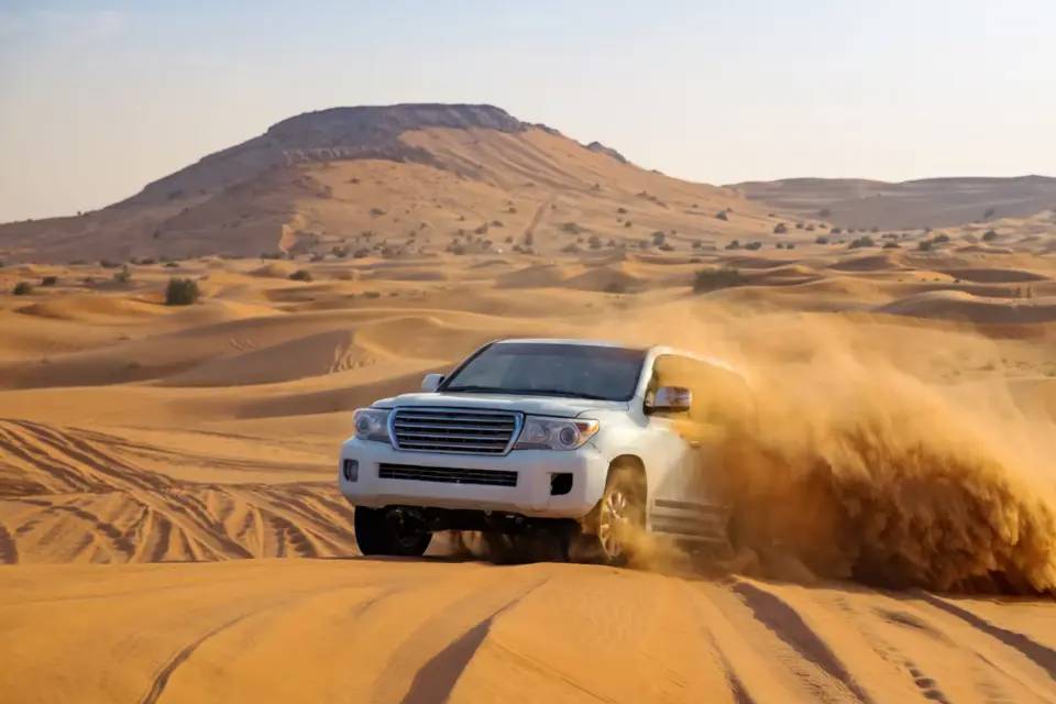 Premium Desert Safari with VIP Majlis