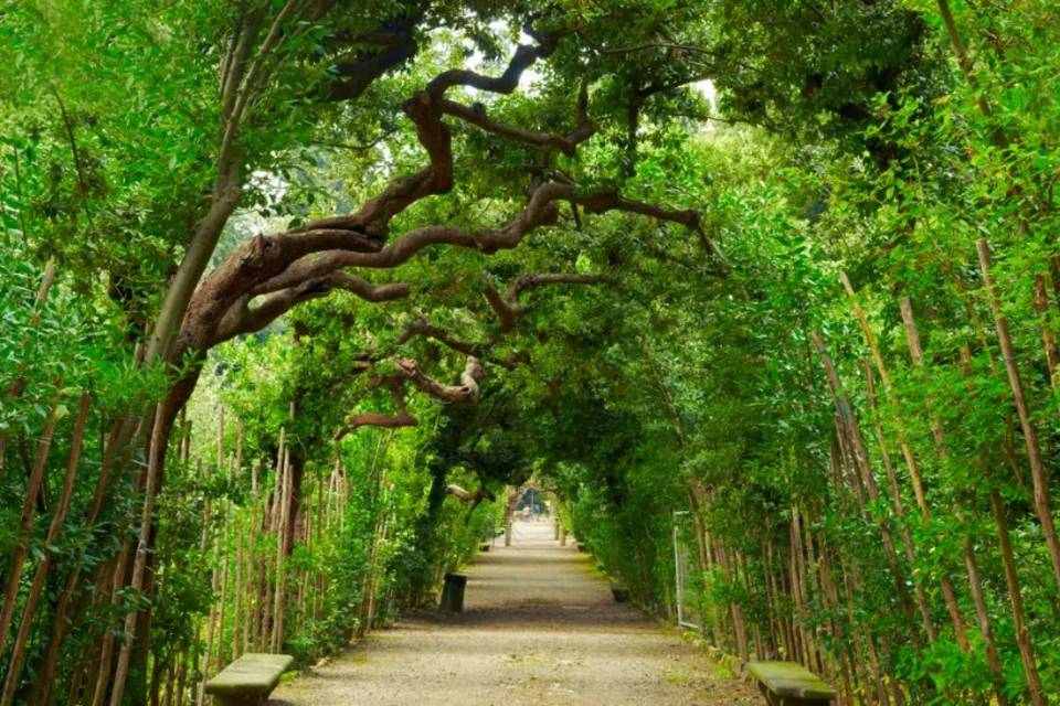 Boboli Garden Guided Tour