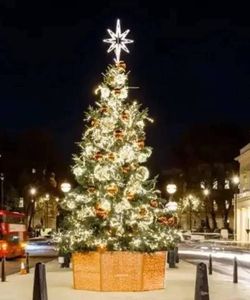 Golden Tours: Christmas Lights Tour by Night Ex-Victoria