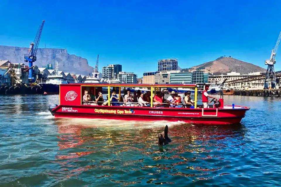 City Sightseeing: Cape Town City Pass