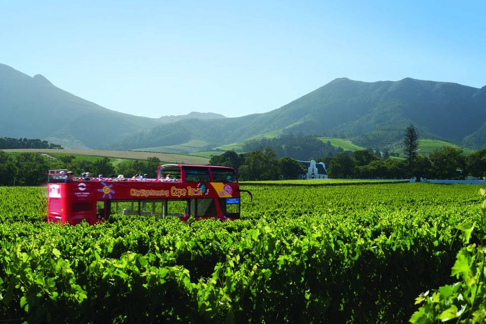 Cape Town Sunset Bus Tour