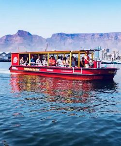 City Sightseeing: Cape Town V&A Harbour and Seal Cruise