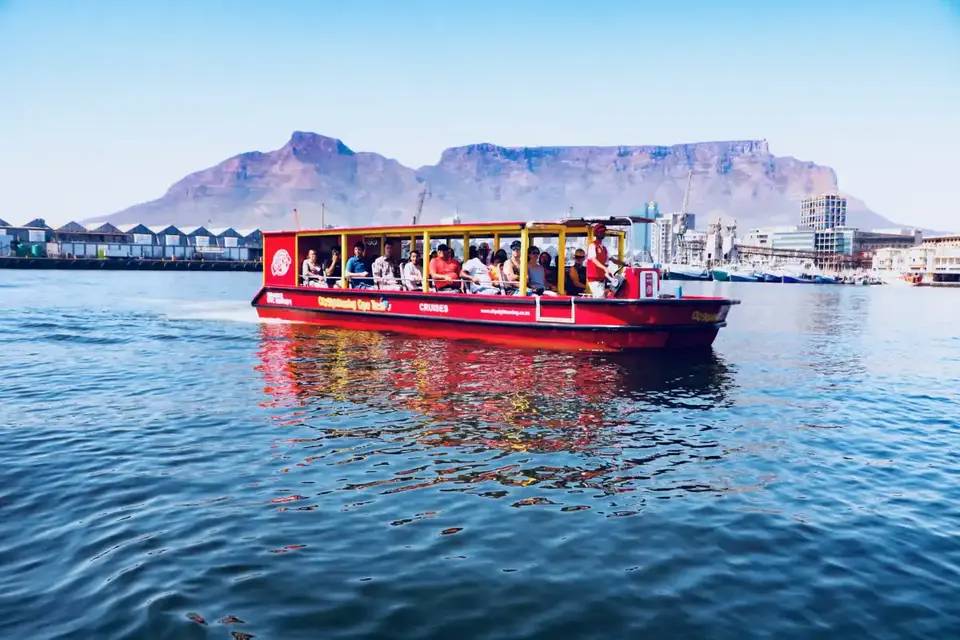 City Sightseeing: Cape Town V&A Harbour and Seal Cruise