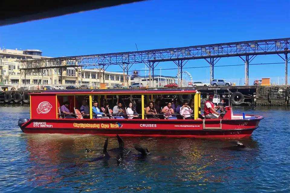 City Sightseeing: Cape Town V&A Harbour and Seal Cruise