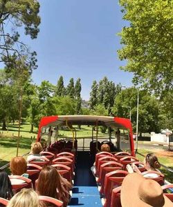 City Sightseeing: Johannesburg Hop On-Hop Off Bus (1-Day Ticket)