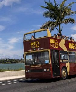 Big Bus Tours: Miami Hop-On, Hop-Off with Everglades Experience