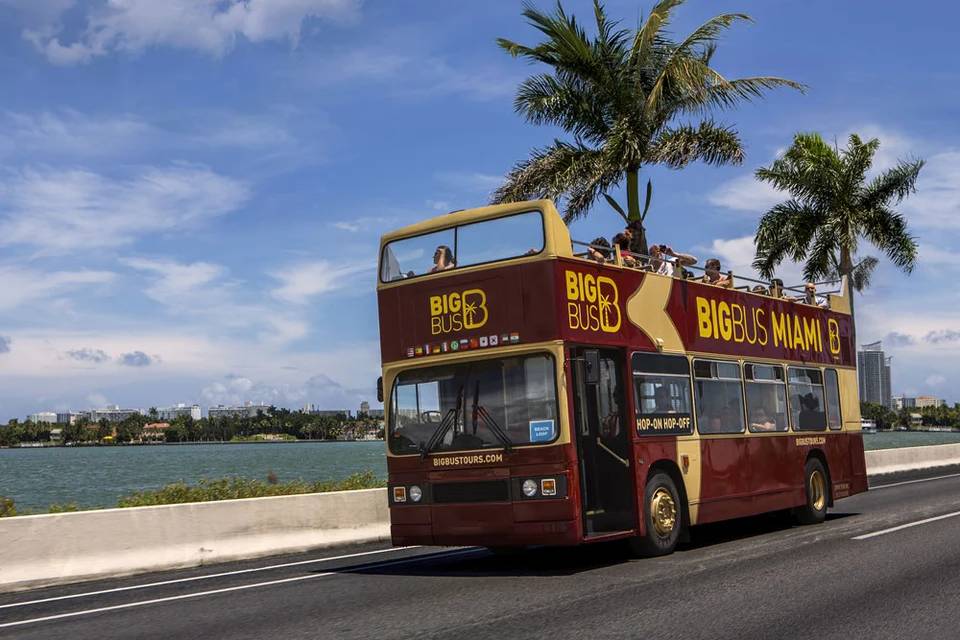 Big Bus Tours: Miami Hop-On, Hop-Off Explore Ticket with Everglades Experience