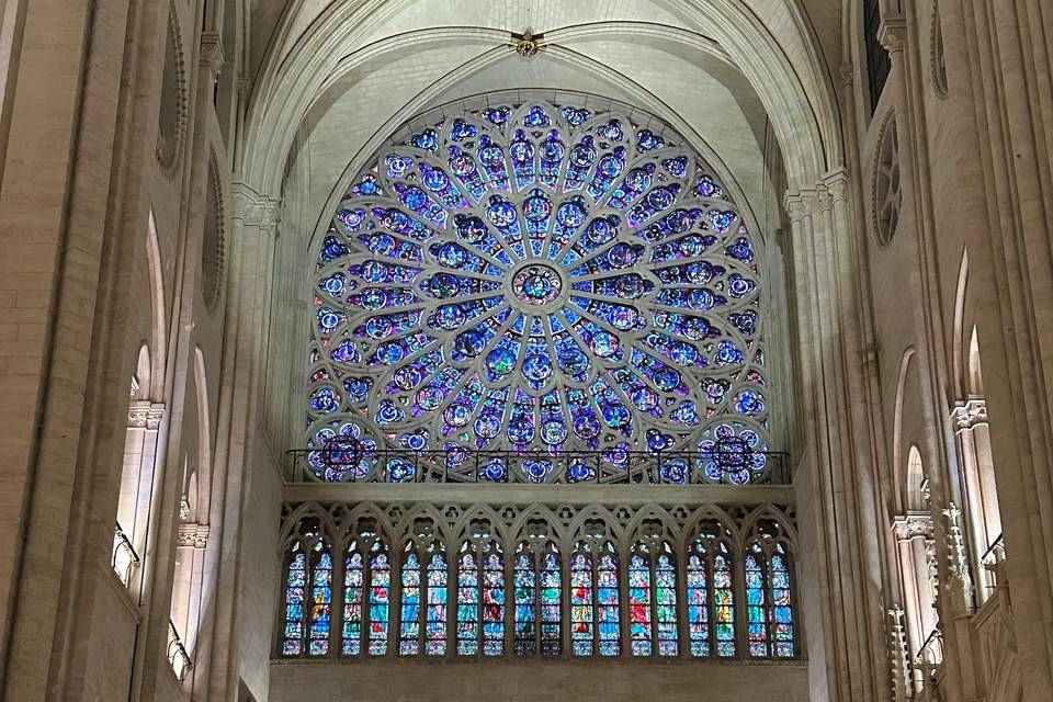 Notre Dame Cathedral: Guided Tour of the District and Interior Audioguide