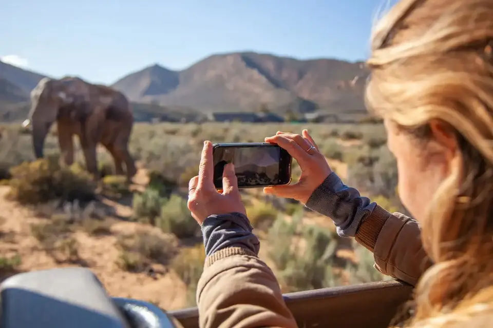 City Sightseeing: Mega City Pass Cape Town