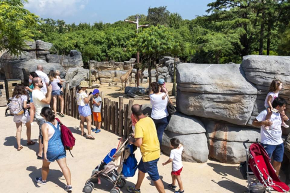 Barcelona Zoo Entrance Ticket