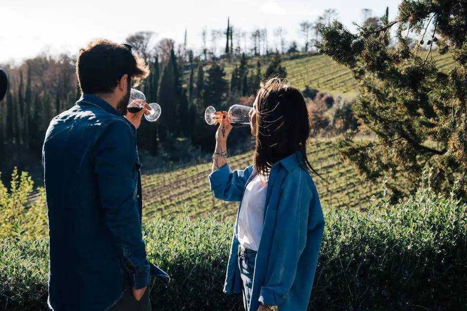 Chianti Experience from Florence: Wine Tasting, Winery Visit and Visit of a Village