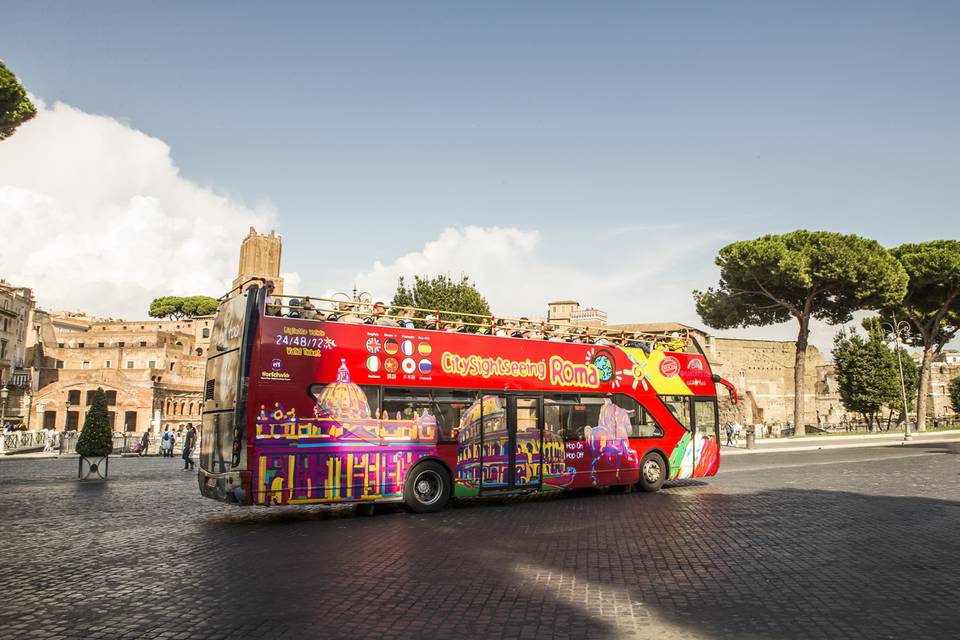 Maxi Combo Roma Tour