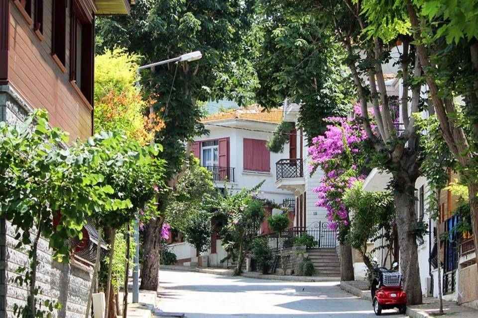 Princes 2-Islands Guided Tour Ticket with Lunch from Istanbul