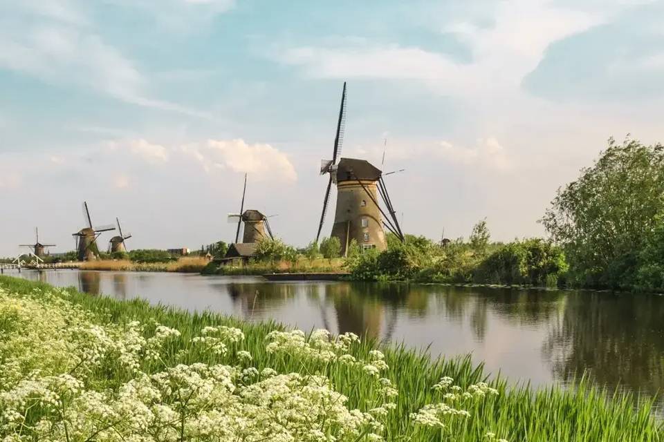 Keukenhof, Tulip Farm and Windmill Cruise