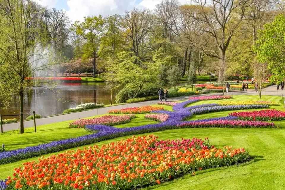 Tour to Keukenhof with Entrance and Transfers by Coach